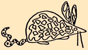 mouse