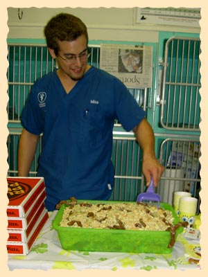 Kitty Litter Cake